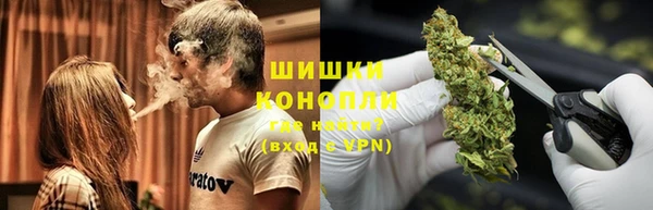 спайс Богданович