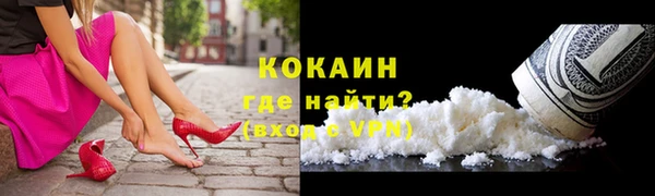 спайс Богданович