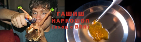 спайс Богданович