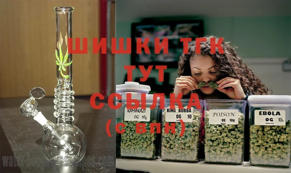спайс Богданович