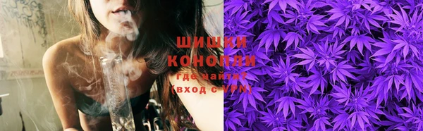 спайс Богданович