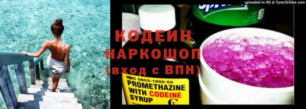 хмурый Богородицк